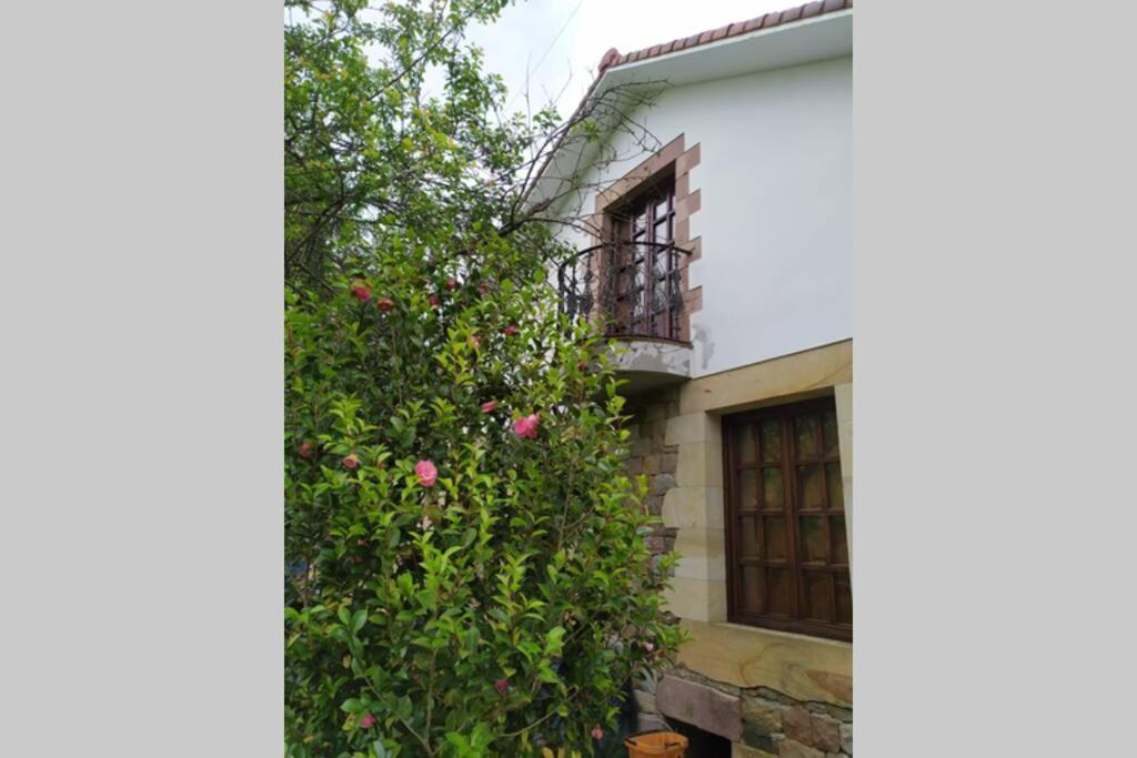 Casa Las Lindes Valle de Cabuerniga , Cantabria Exterior foto